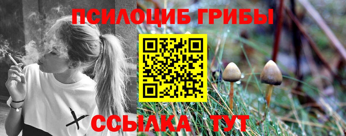 Псилоцибиновые грибы мухоморы  Вход с VPN  Мыски 