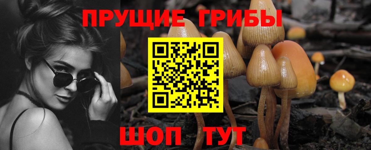 Псилоцибиновые грибы ЛСД Мыски